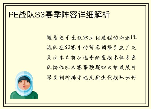 PE战队S3赛季阵容详细解析