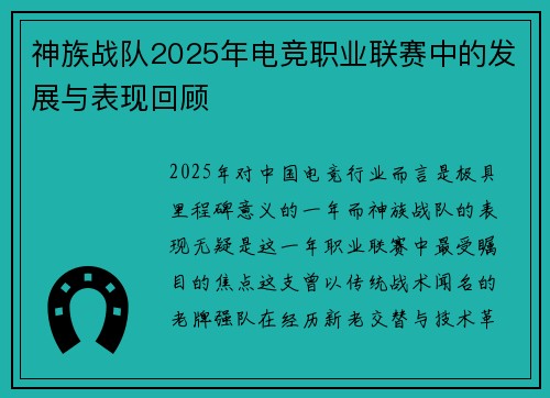 神族战队2025年电竞职业联赛中的发展与表现回顾